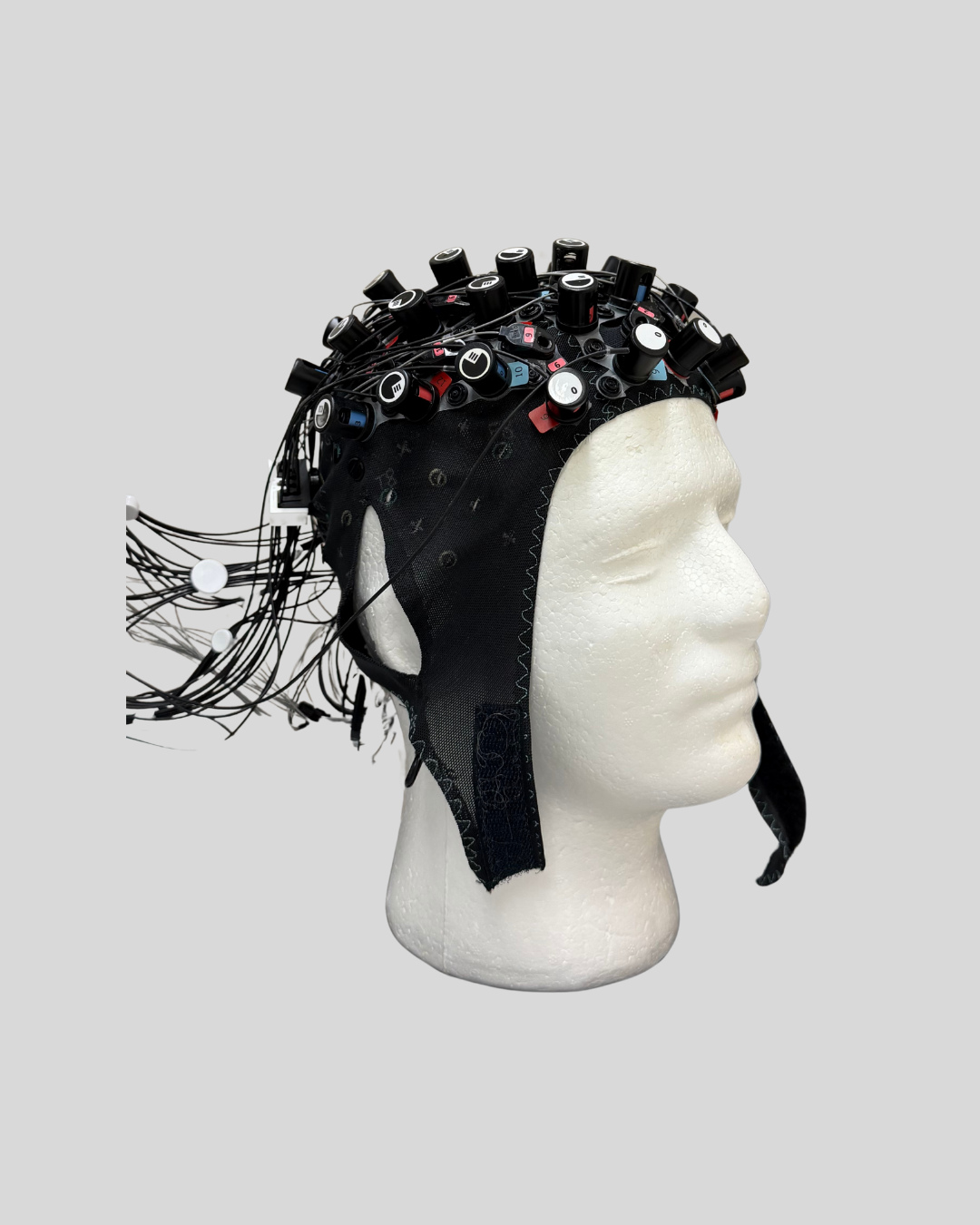 Image of an Electroencephalography Device connected to a model of a human head.